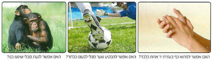 (בספר איור, היעזר במנחה)